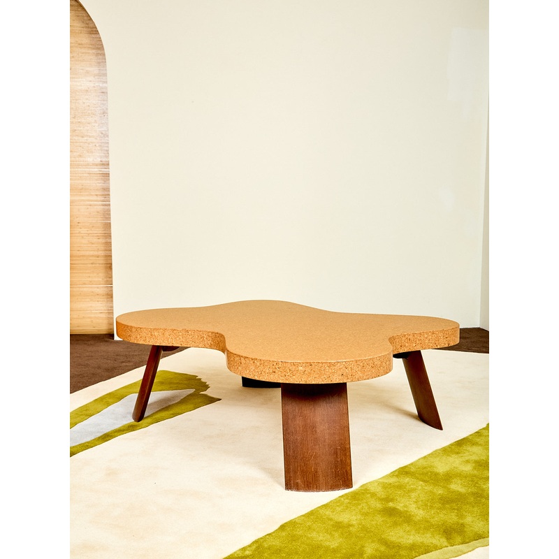 Amoeba Coffee Table