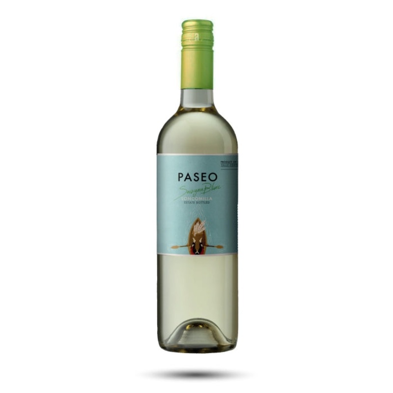Vina del Pedregal Paseo Sauvignon Blanc 2024
